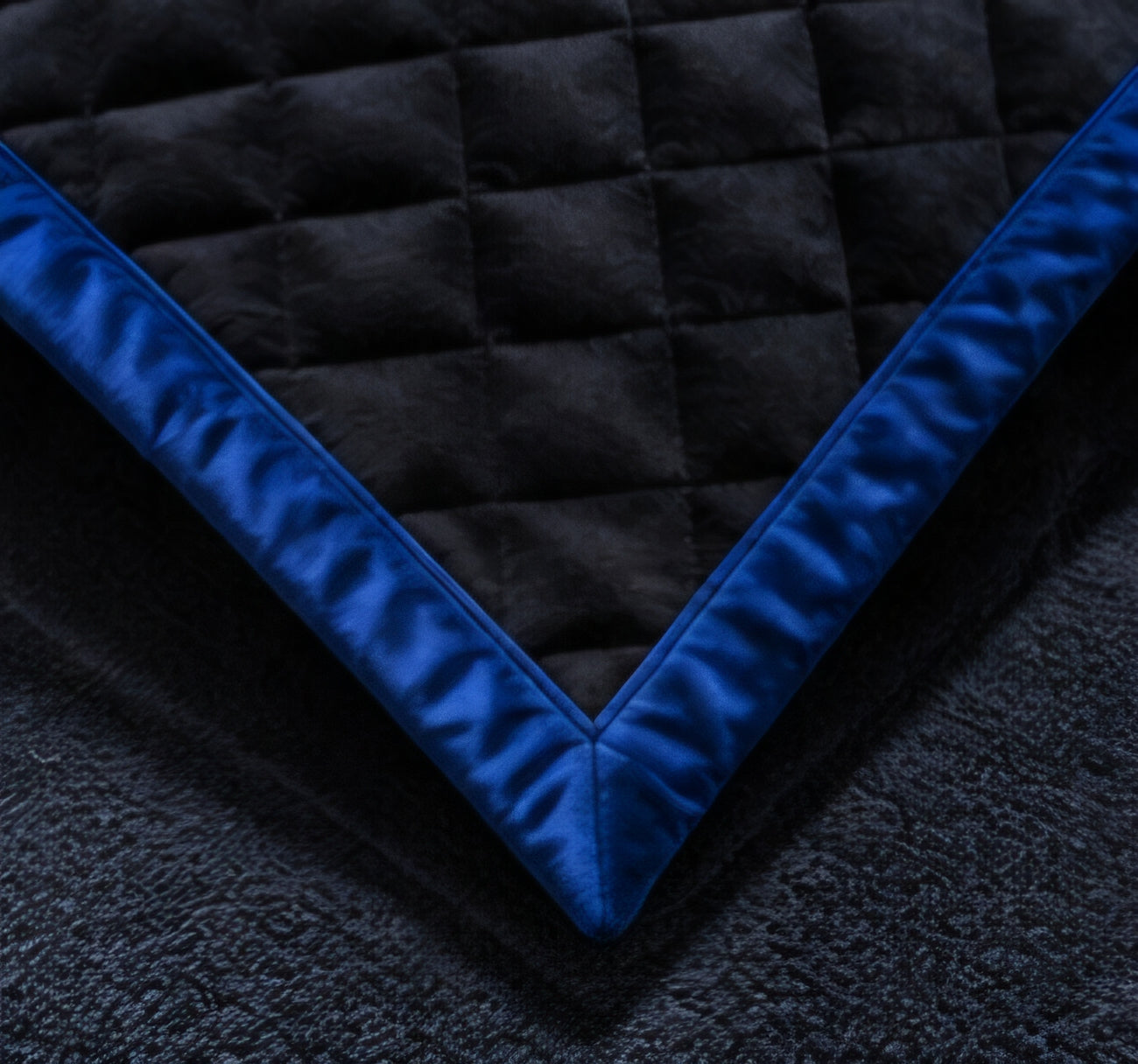 Majestic White Tiger Blue Eyes Luxury Plush Blanket – Black & Royal Blue Wildlife Bedding